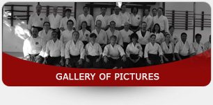 Gallery of Pictures of Shobu Aikido